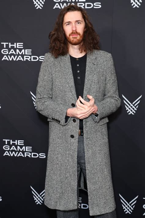 wiki hozier|how did hozier get famous.